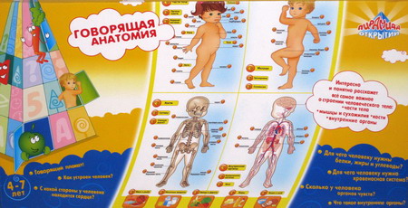 Открой говорящий. Говорящая анатомия для детей. Анатомические плакаты для детей. Говорящий плакат анатомия. Плакат анатомия человека для детей.